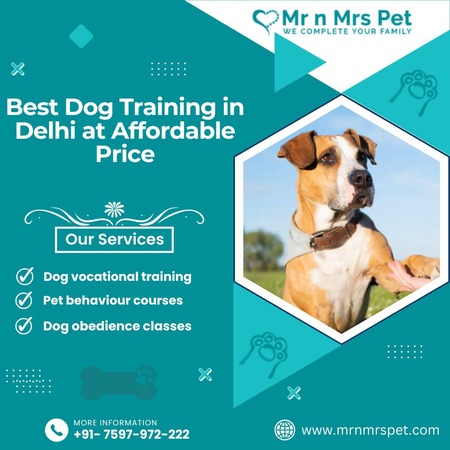 Best Dog Training in Delhi at Affordable Price